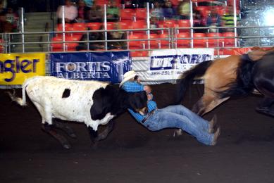 Black Gold Rodeo offers exciting riding, roping action