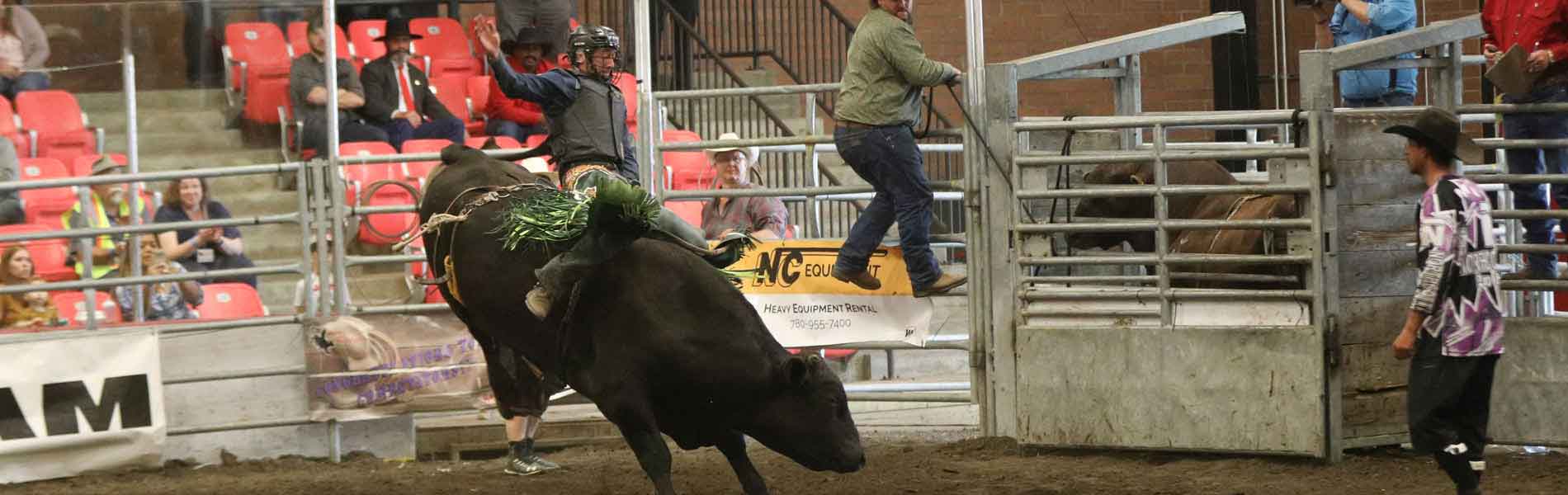 Pro Rodeo in Alberta | Professional Rodeo Events Leduc